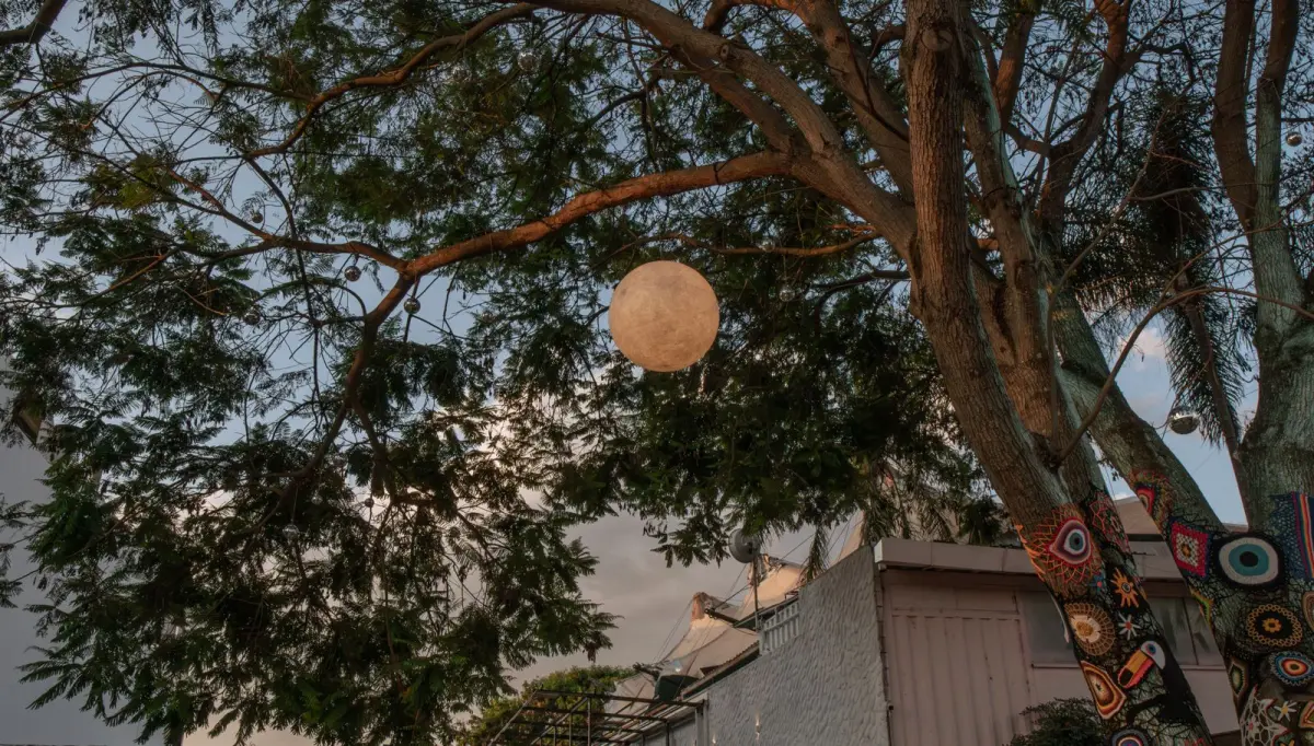 Iluminação suspensa nas árvores